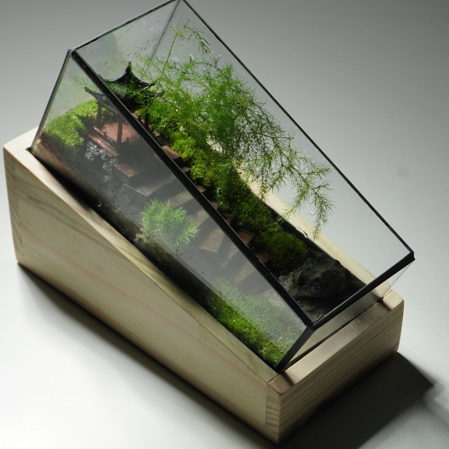 Terarium để bàn [Trúc Yên Tự]