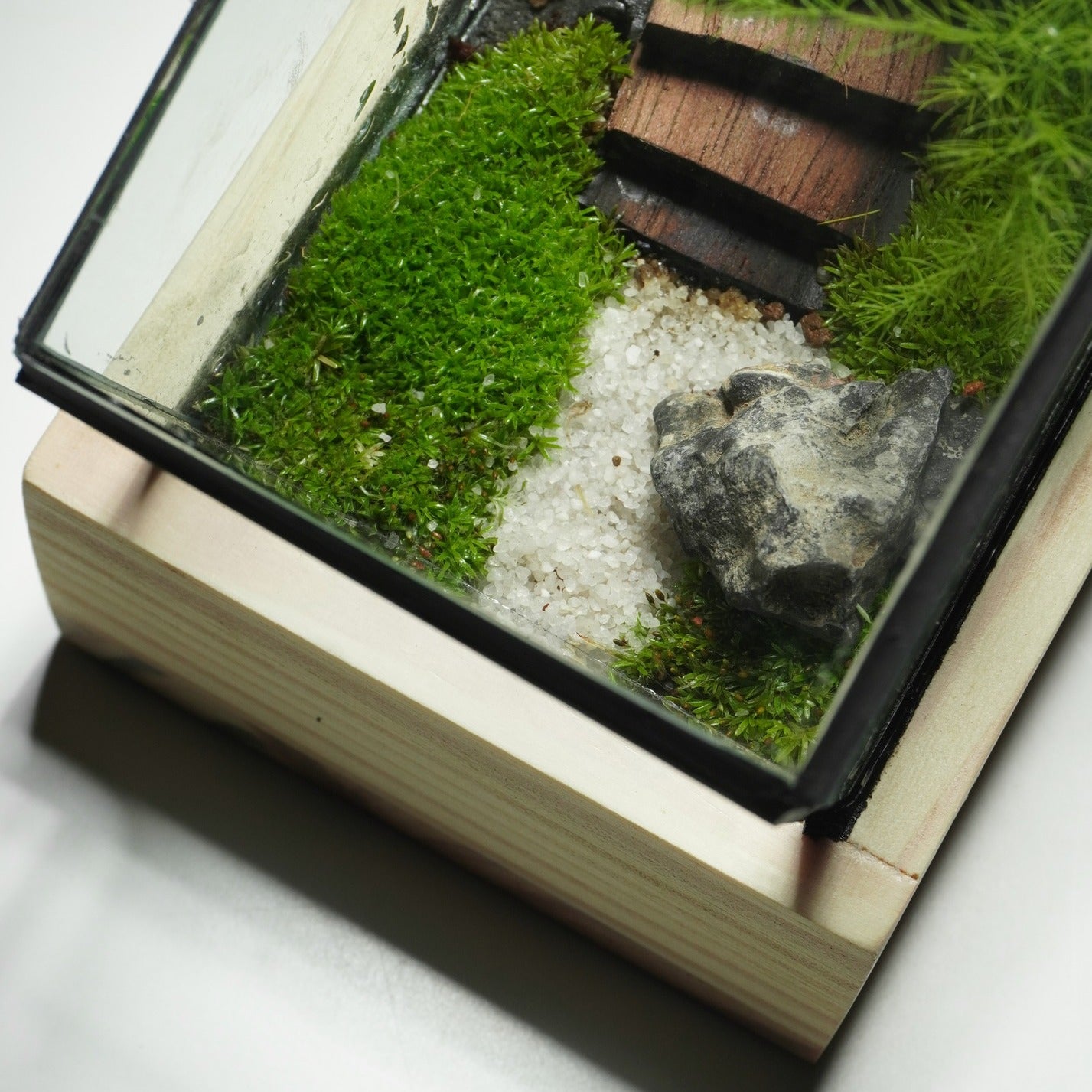 Terarium để bàn [Trúc Yên Tự]