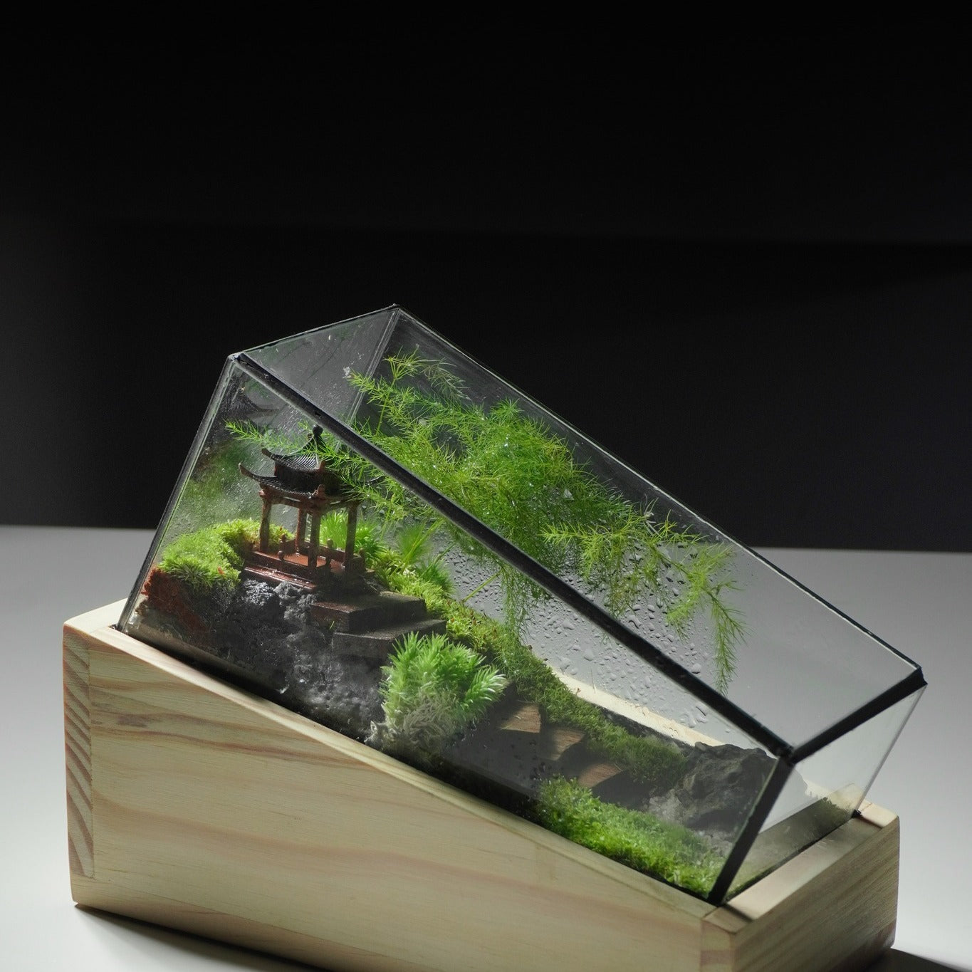 Terarium để bàn [Trúc Yên Tự]