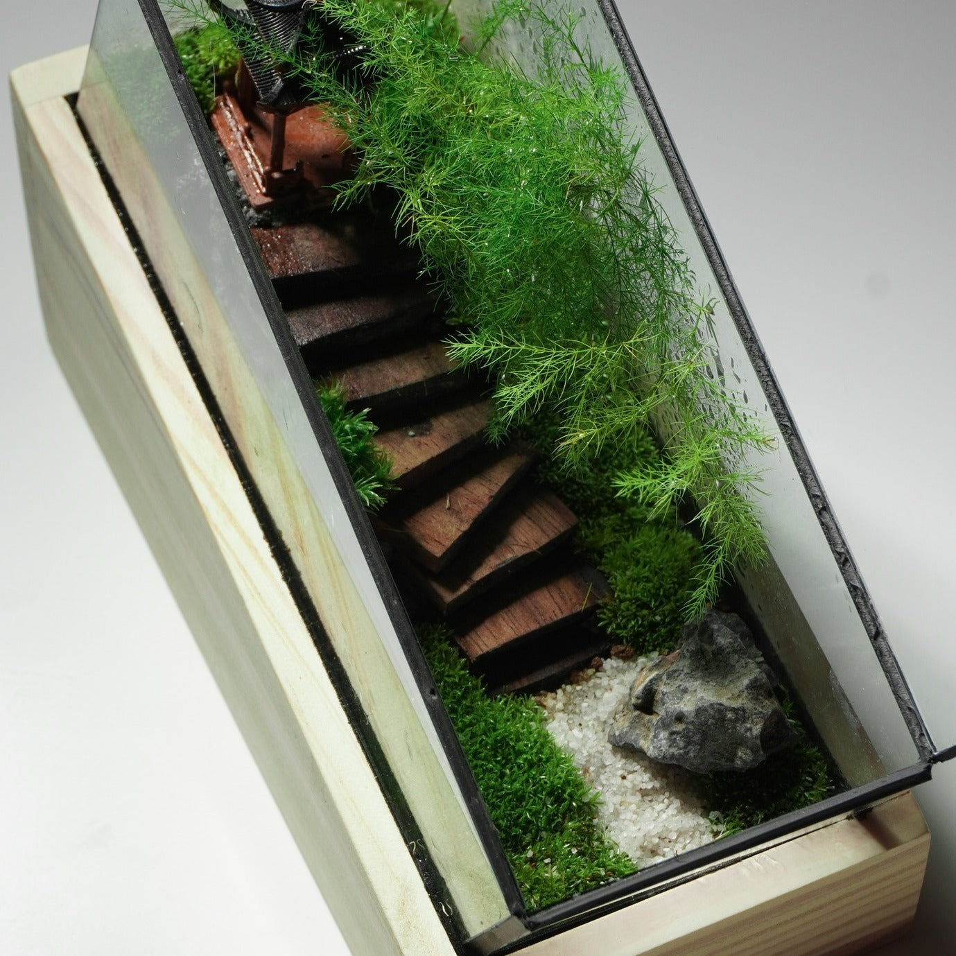 Terarium để bàn [Trúc Yên Tự]