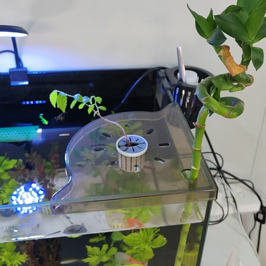 Giá để đồ thực phẩm bể cá cảnh quan khung thủy canh cây xanh khay