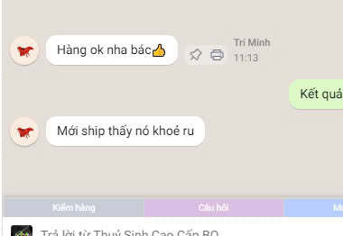 Combo 10 Bé Cua ớt đỏ mini thuỷ sinh(Kích thước max size 2cm)