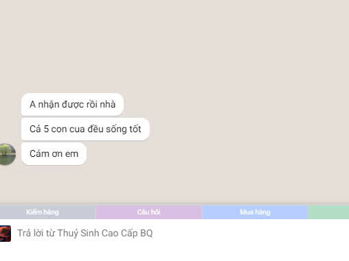 Combo 10 Bé Cua ớt đỏ mini thuỷ sinh(Kích thước max size 2cm)